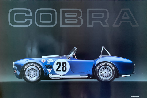 Cobra Poster - COX-6135